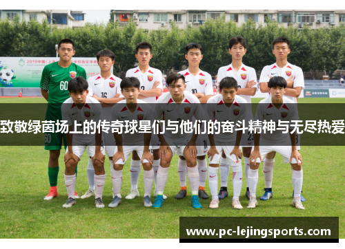致敬绿茵场上的传奇球星们与他们的奋斗精神与无尽热爱